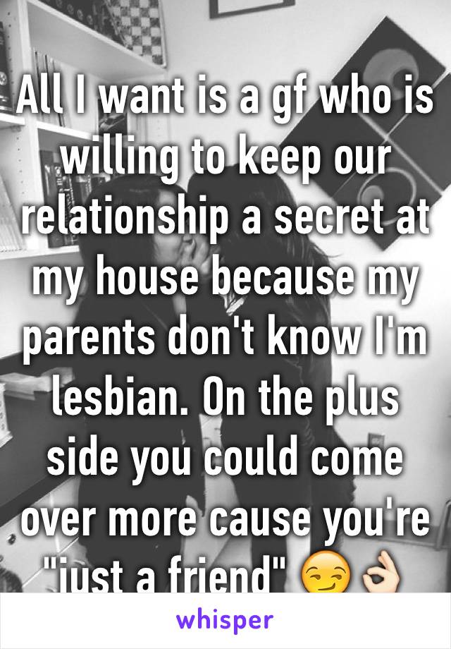 All I want is a gf who is willing to keep our relationship a secret at my house because my parents don't know I'm lesbian. On the plus side you could come over more cause you're "just a friend" 😏👌🏻