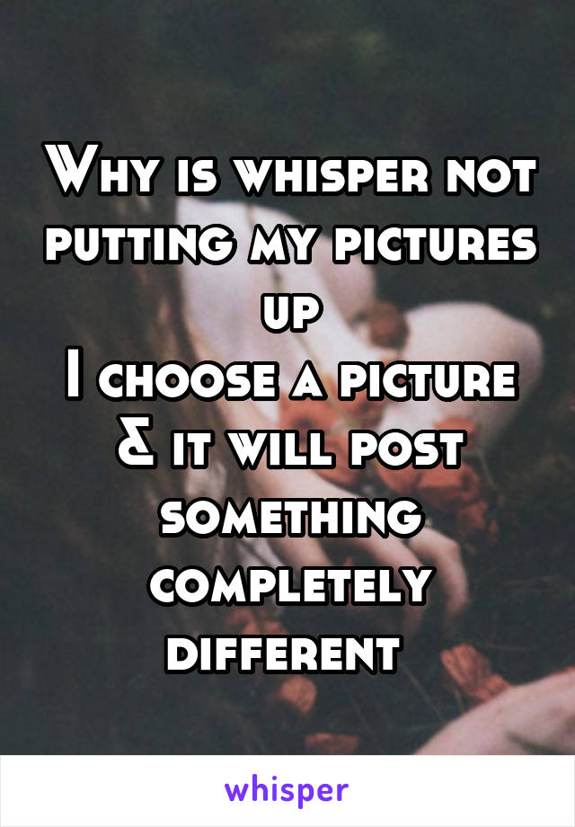 Why is whisper not putting my pictures up
I choose a picture & it will post something completely different 