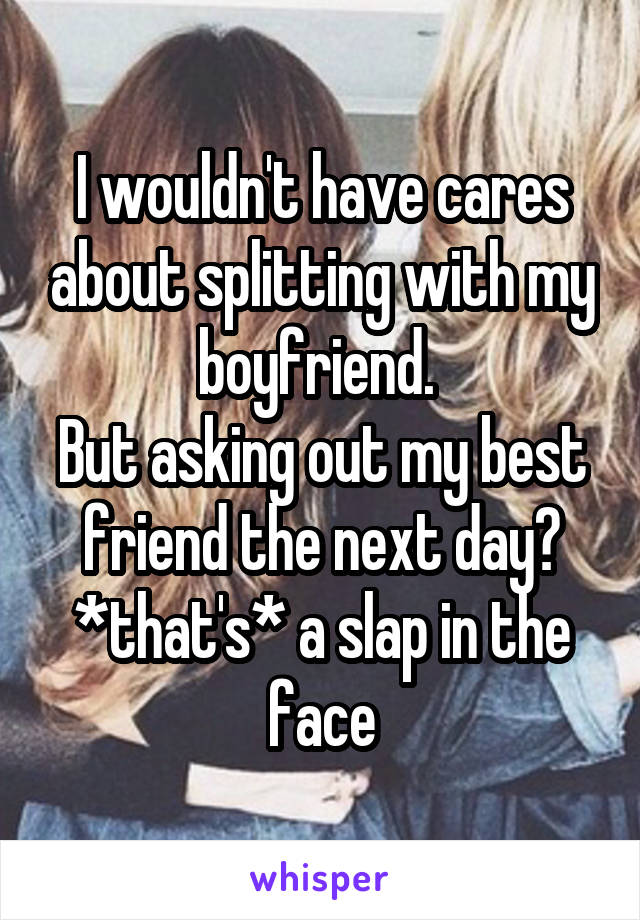 I wouldn't have cares about splitting with my boyfriend. 
But asking out my best friend the next day? *that's* a slap in the face