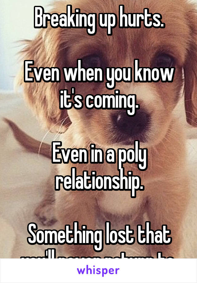 Breaking up hurts.

Even when you know it's coming.

Even in a poly relationship.

Something lost that you'll never return to.