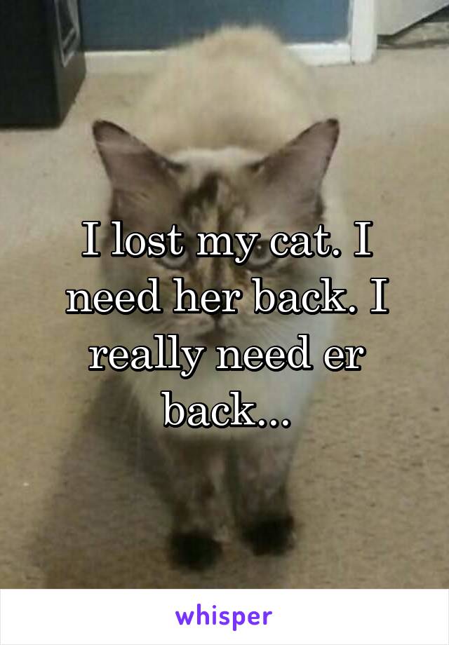 I lost my cat. I need her back. I really need er back...