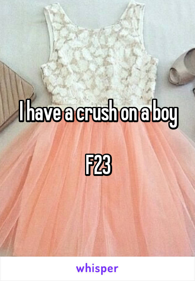 I have a crush on a boy

F23