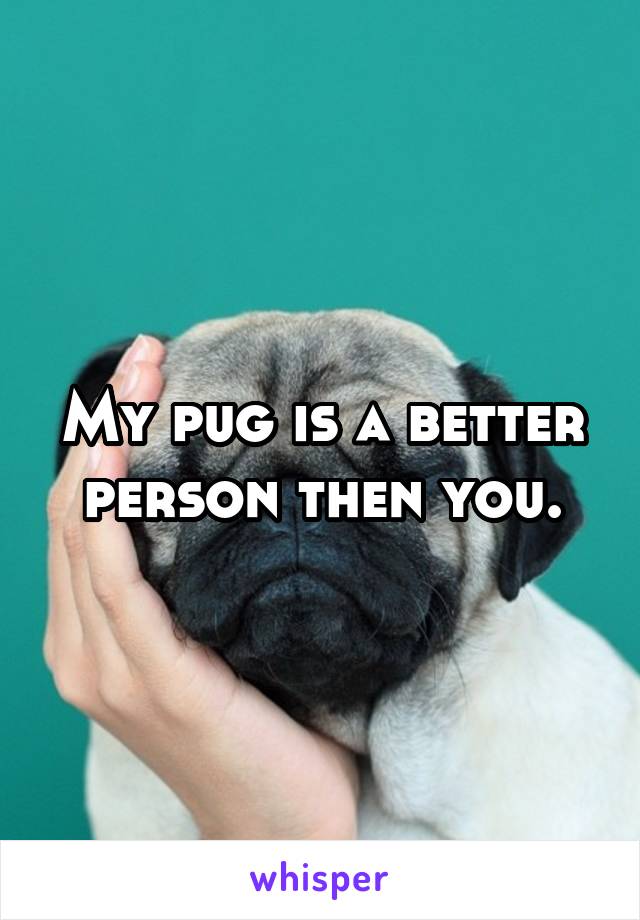 My pug is a better person then you.