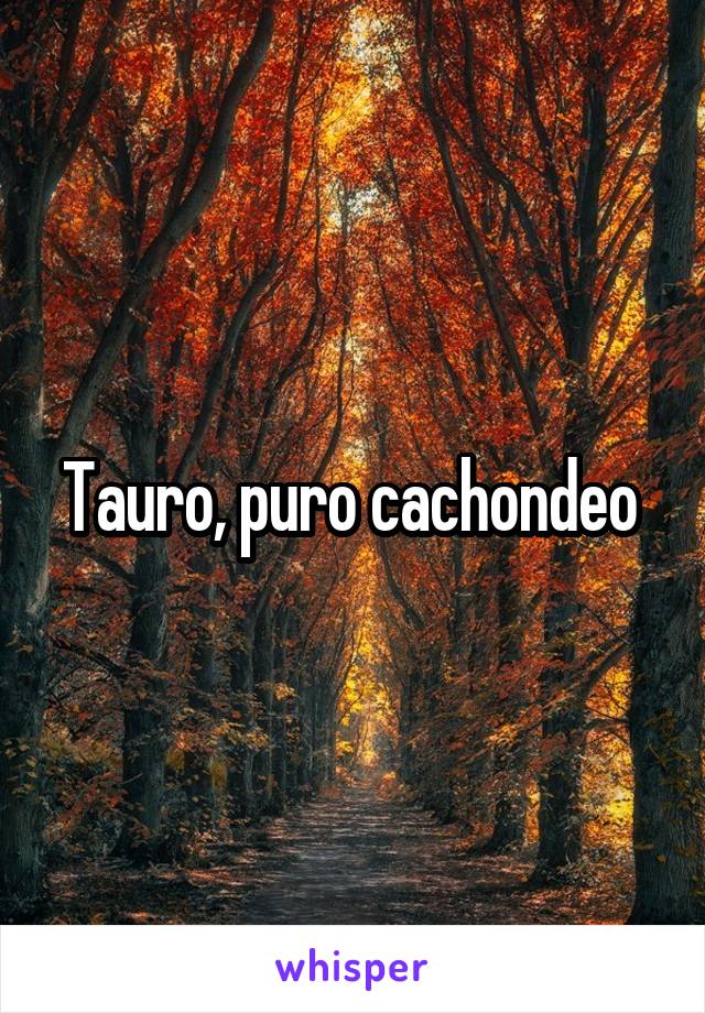 Tauro, puro cachondeo 