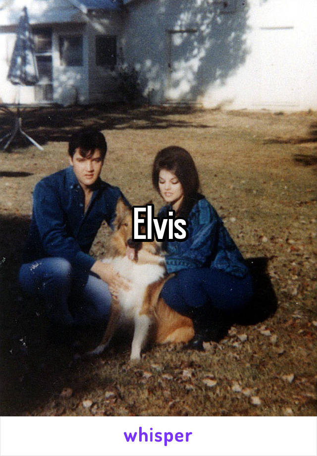 Elvis