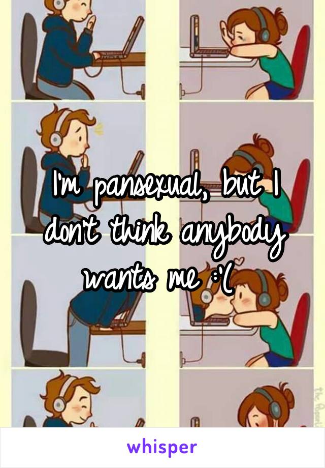 I'm pansexual, but I don't think anybody wants me :'( 