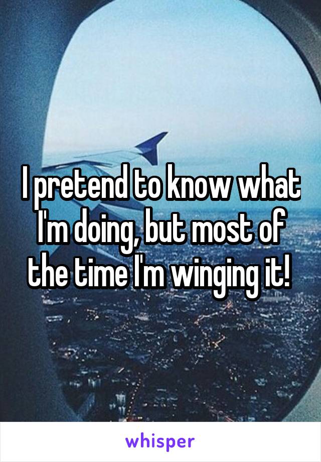 I pretend to know what I'm doing, but most of the time I'm winging it! 