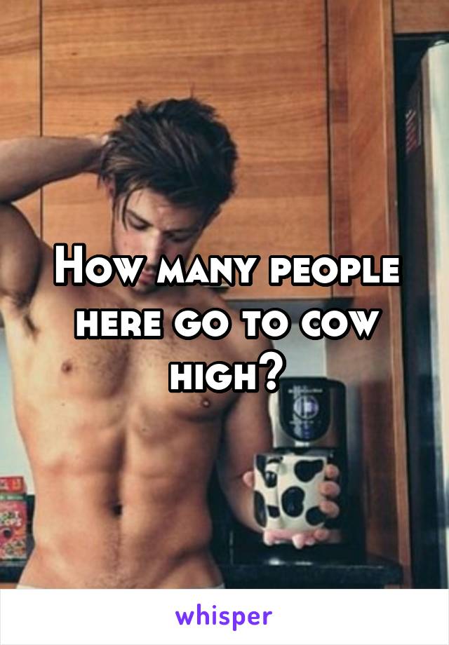 How many people here go to cow high?