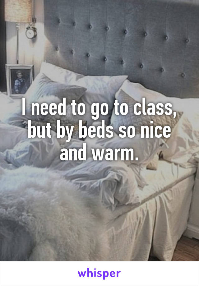 I need to go to class, but by beds so nice and warm.
