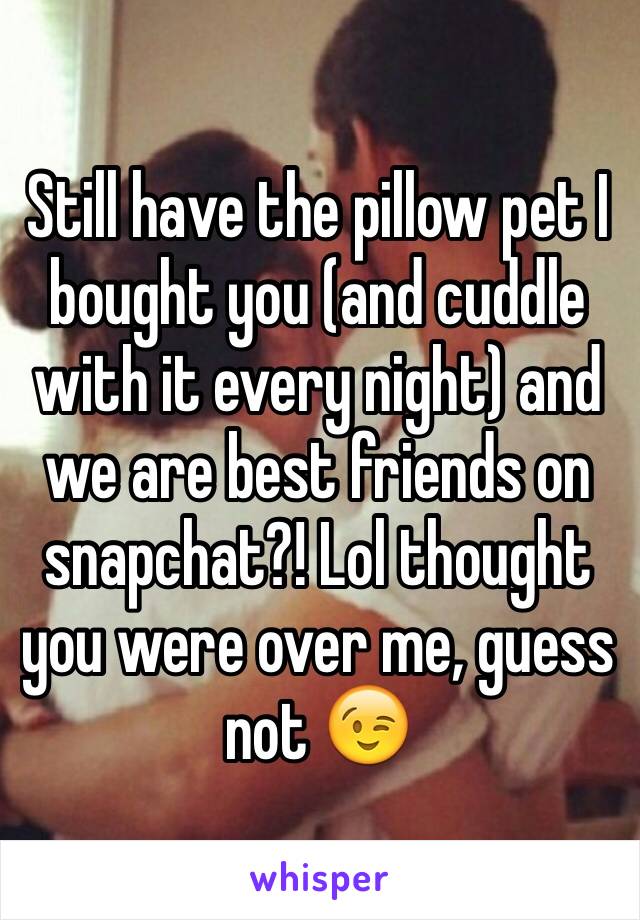 Still have the pillow pet I bought you (and cuddle with it every night) and we are best friends on snapchat?! Lol thought you were over me, guess not 😉