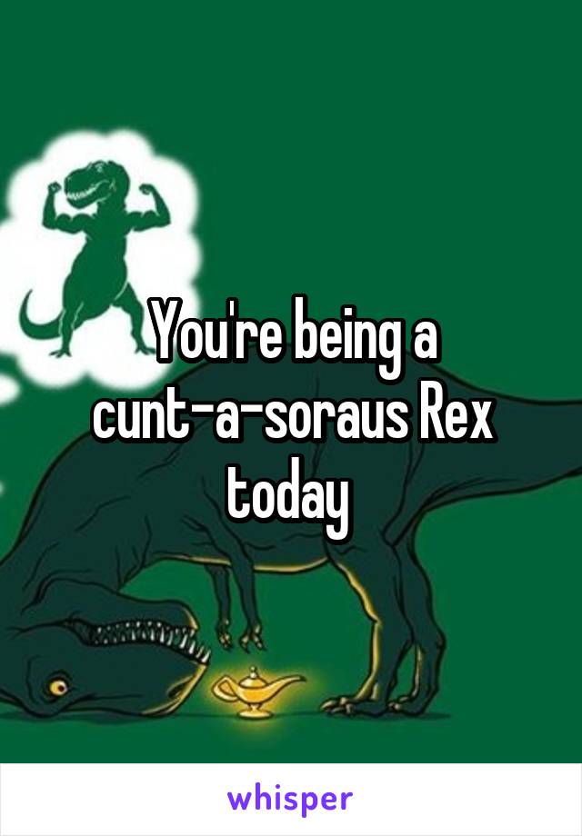 You're being a cunt-a-soraus Rex today 