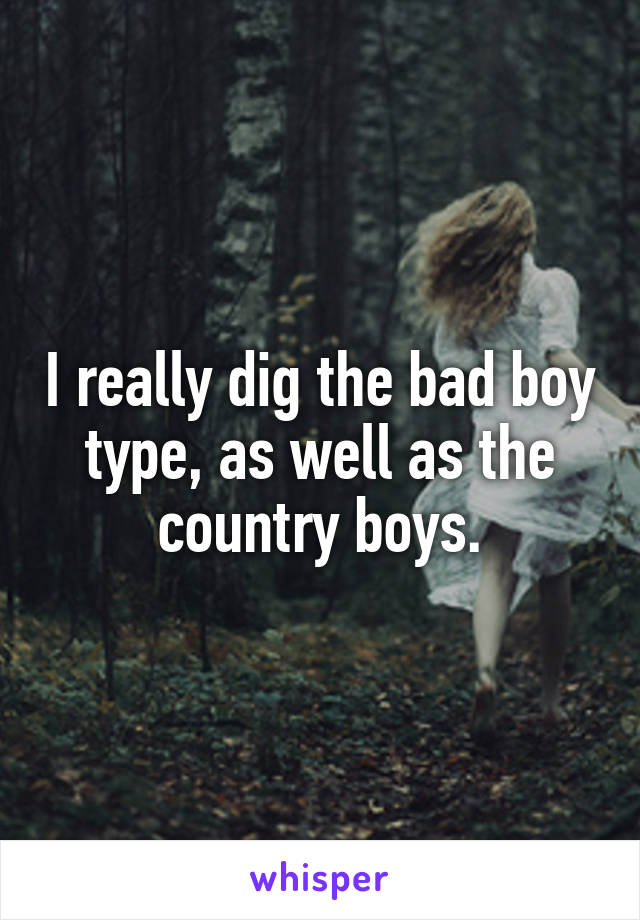 I really dig the bad boy type, as well as the country boys.