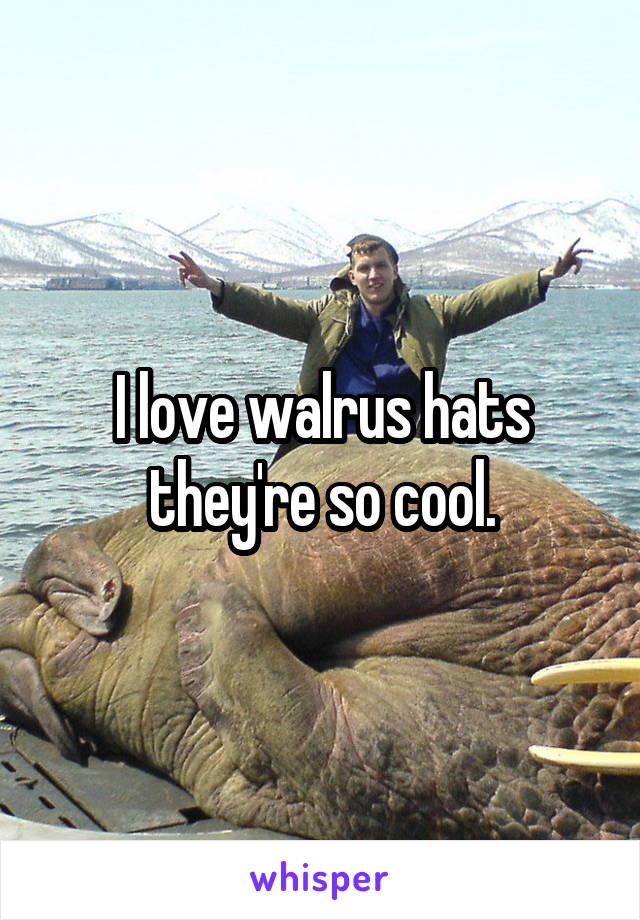 I love walrus hats they're so cool.