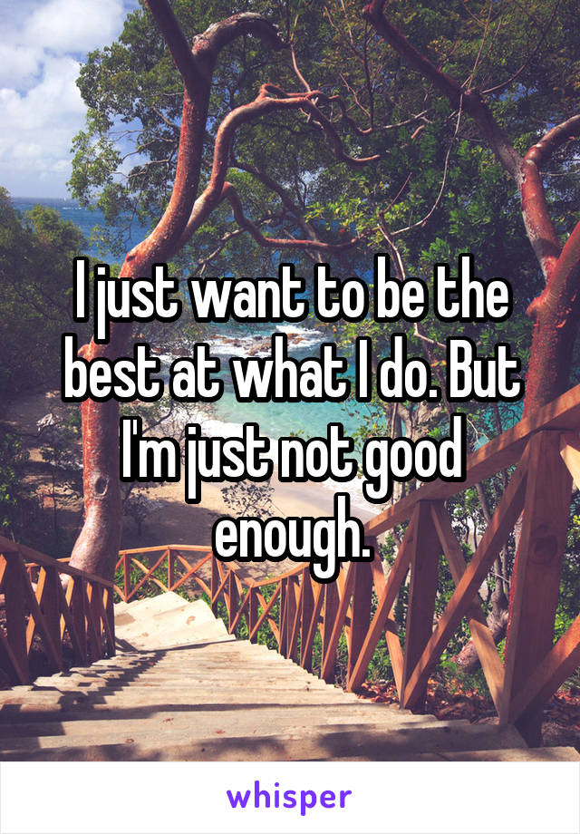 I just want to be the best at what I do. But I'm just not good enough.