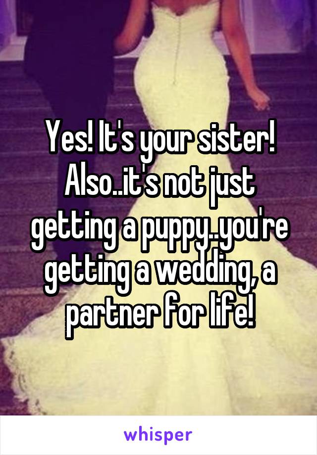 Yes! It's your sister! Also..it's not just getting a puppy..you're getting a wedding, a partner for life!