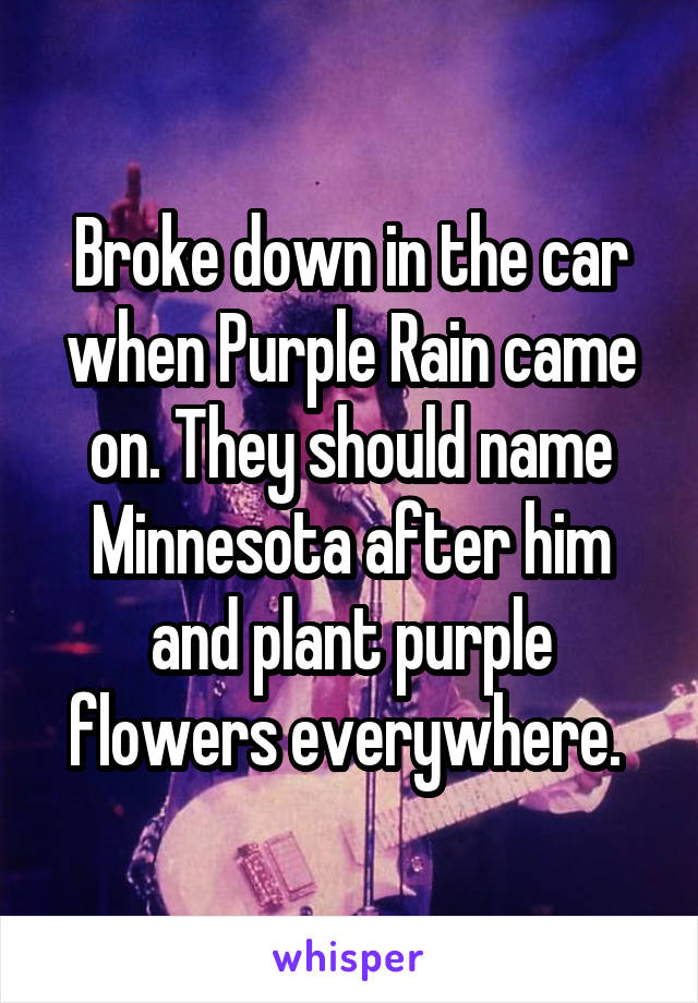 Broke down in the car when Purple Rain came on. They should name Minnesota after him and plant purple flowers everywhere. 