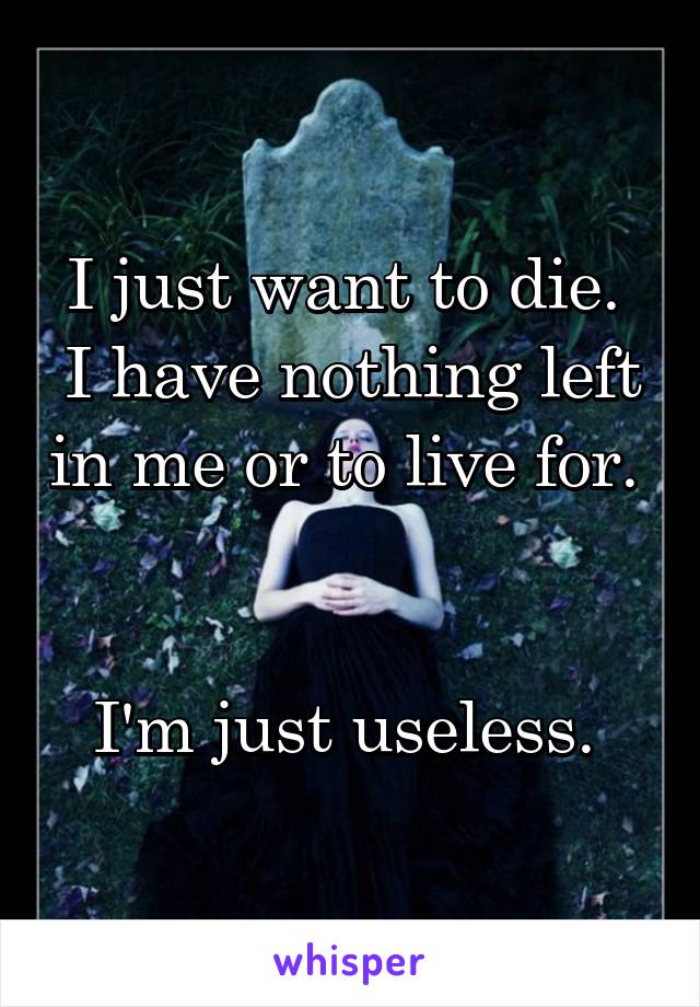 I just want to die. 
I have nothing left in me or to live for. 


I'm just useless. 