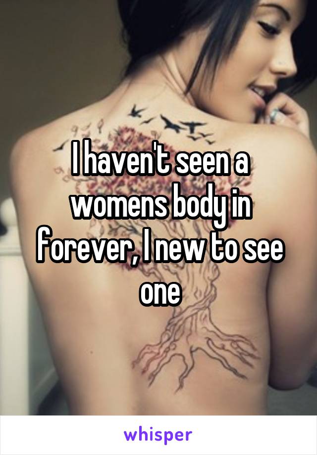 I haven't seen a womens body in forever, I new to see one