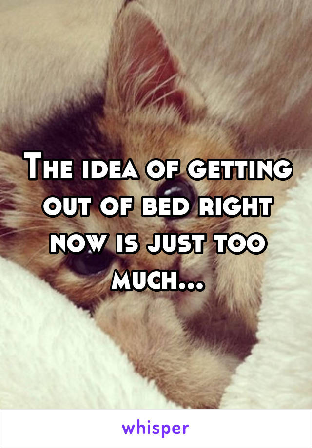 The idea of getting out of bed right now is just too much...