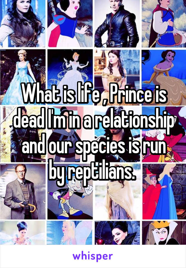 What is life , Prince is dead I'm in a relationship and our species is run by reptilians. 