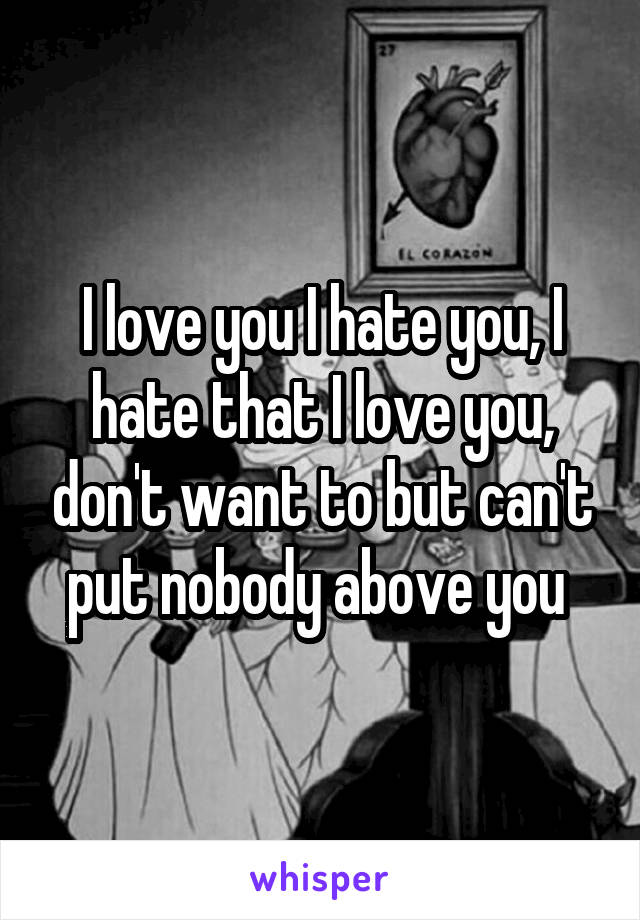 I love you I hate you, I hate that I love you, don't want to but can't put nobody above you 