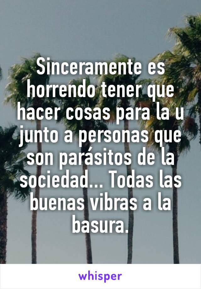 Sinceramente es horrendo tener que hacer cosas para la u junto a personas que son parásitos de la sociedad... Todas las buenas vibras a la basura.