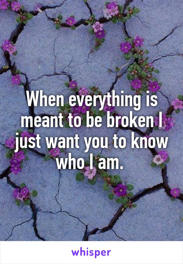 When everything is meant to be broken I just want you to know who I am. 