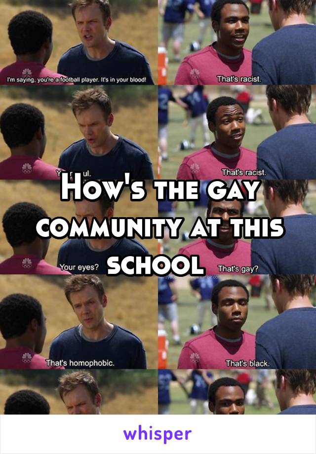 How's the gay community at this school 