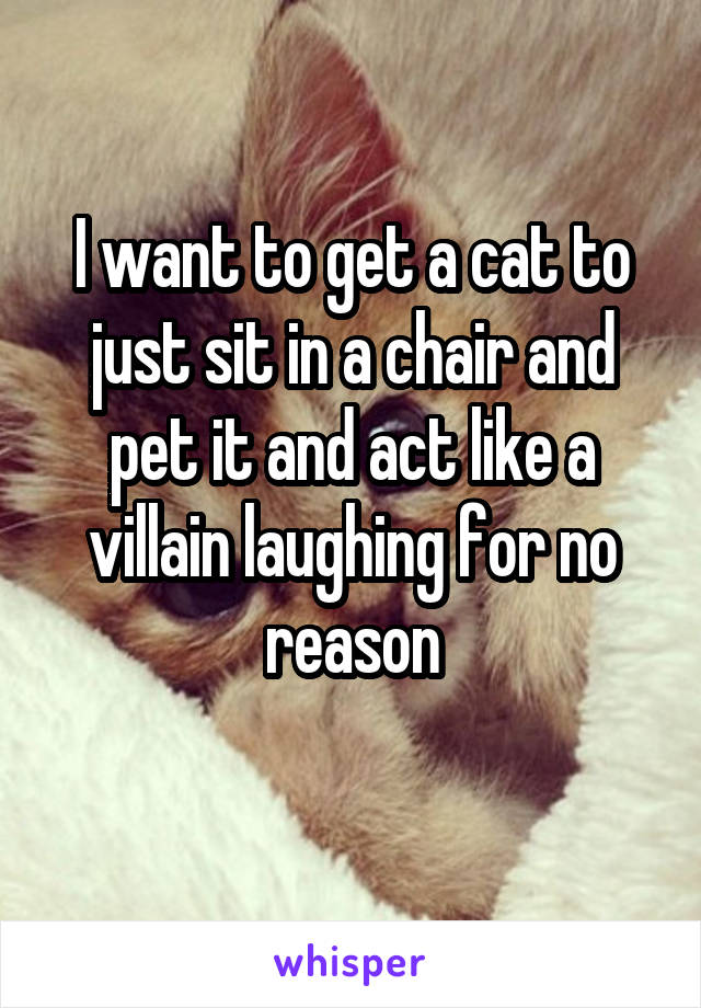 I want to get a cat to just sit in a chair and pet it and act like a villain laughing for no reason
