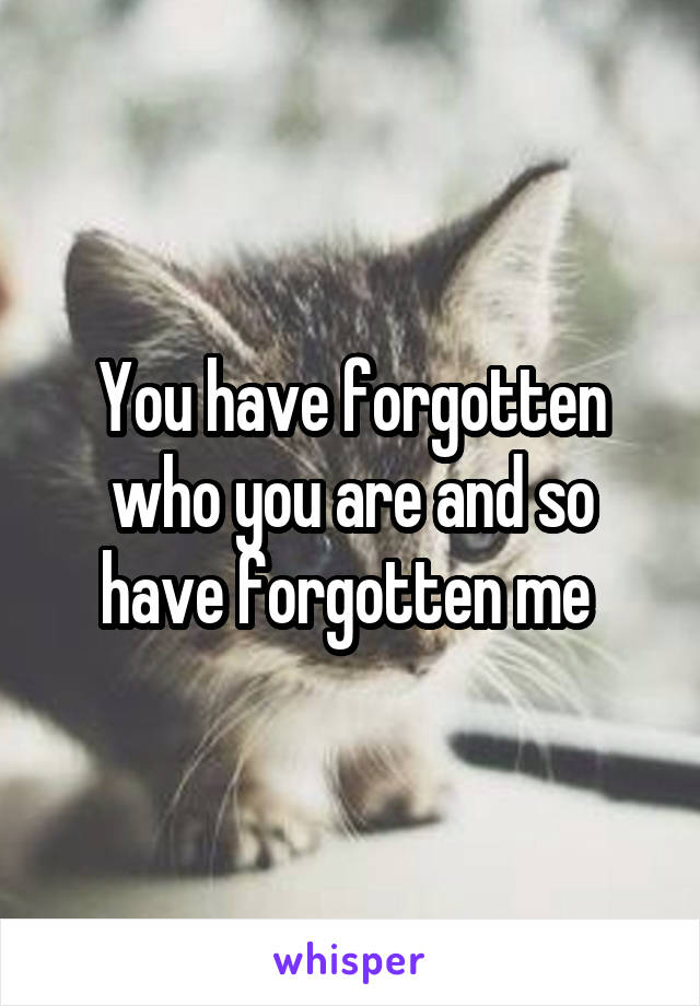 You have forgotten who you are and so have forgotten me 