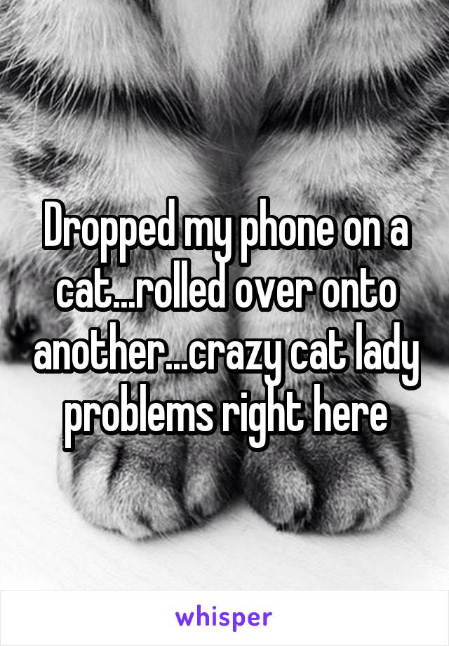 Dropped my phone on a cat...rolled over onto another...crazy cat lady problems right here