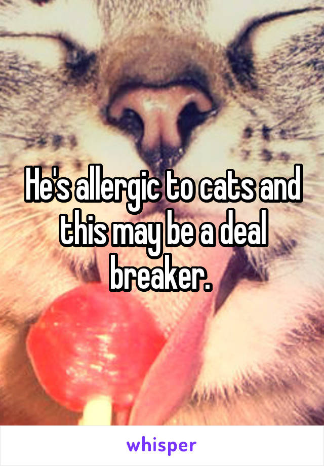 He's allergic to cats and this may be a deal breaker. 