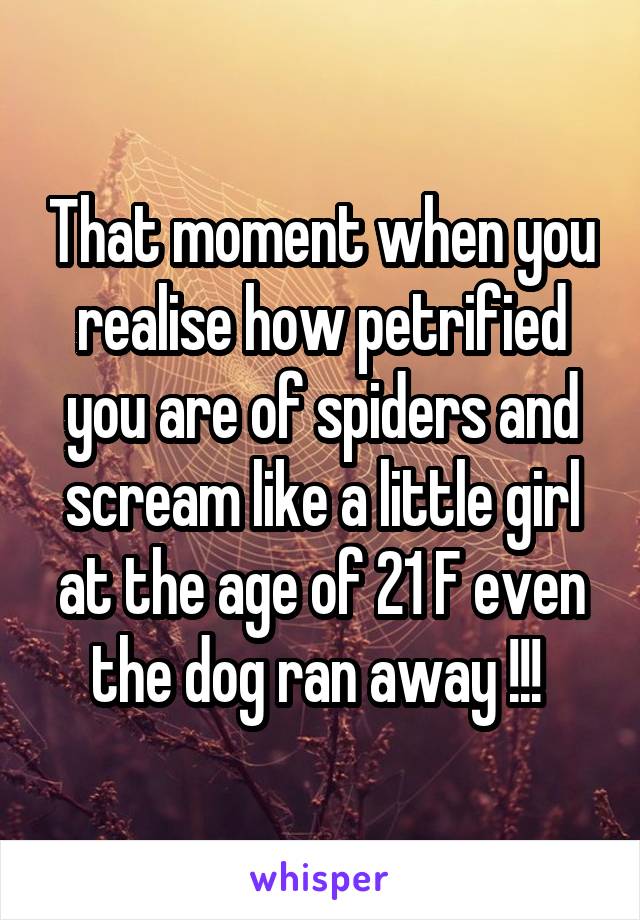 That moment when you realise how petrified you are of spiders and scream like a little girl at the age of 21 F even the dog ran away !!! 