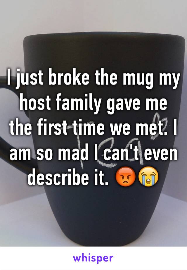 I just broke the mug my host family gave me the first time we met. I am so mad I can't even describe it. 😡😭