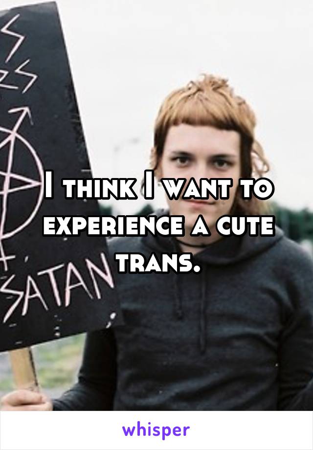 I think I want to experience a cute trans.