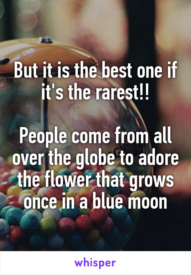 But it is the best one if it's the rarest!!

People come from all over the globe to adore the flower that grows once in a blue moon