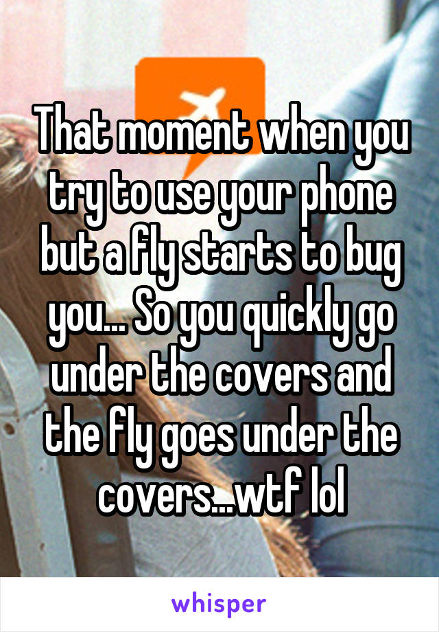 That moment when you try to use your phone but a fly starts to bug you... So you quickly go under the covers and the fly goes under the covers...wtf lol