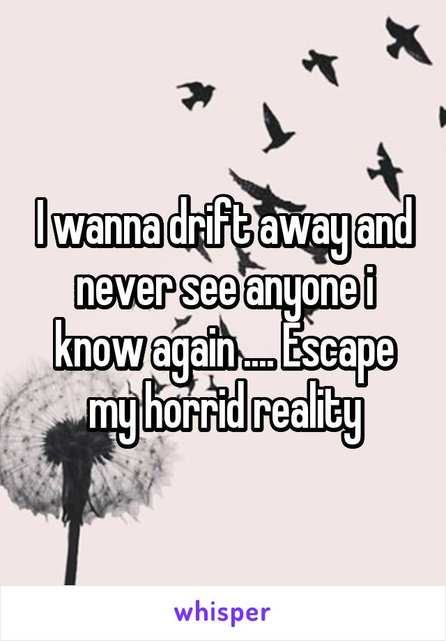 I wanna drift away and never see anyone i know again .... Escape my horrid reality