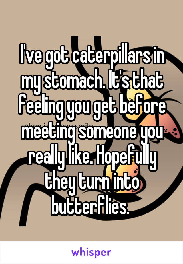 I've got caterpillars in my stomach. It's that feeling you get before meeting someone you really like. Hopefully they turn into butterflies. 