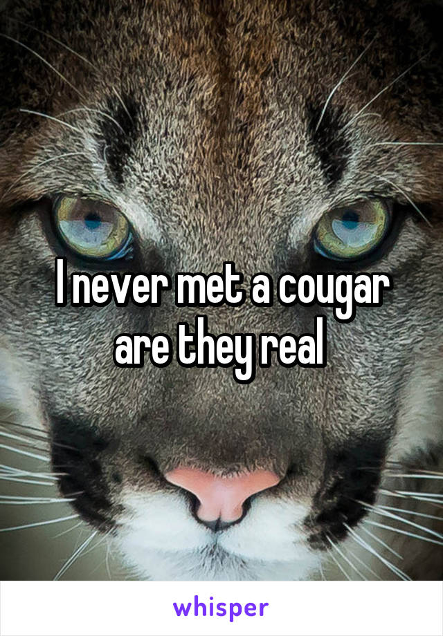 I never met a cougar are they real 