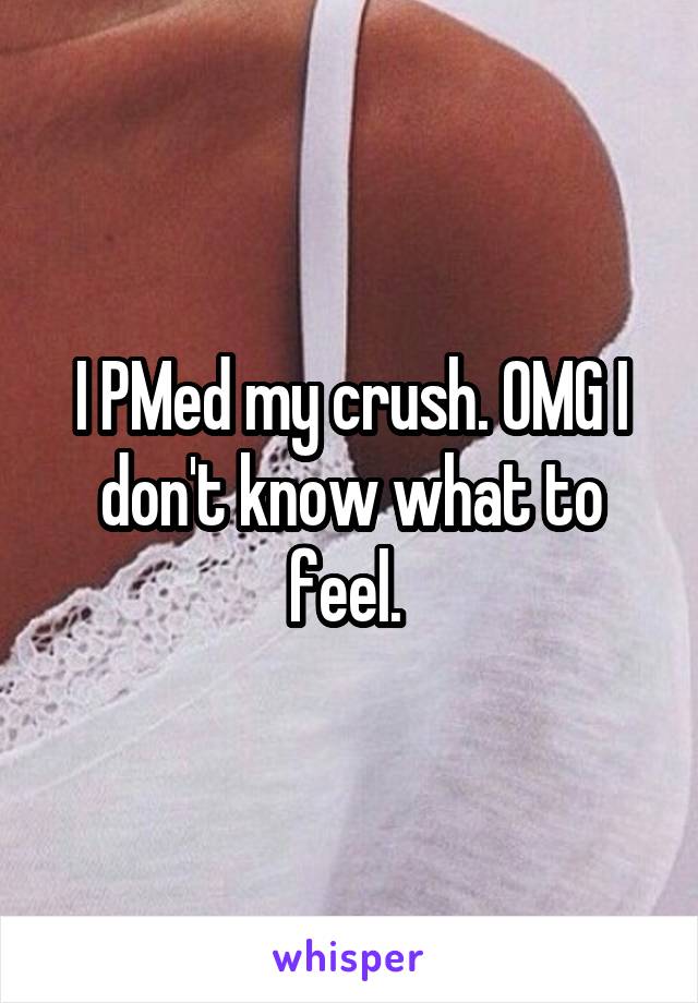 I PMed my crush. OMG I don't know what to feel. 