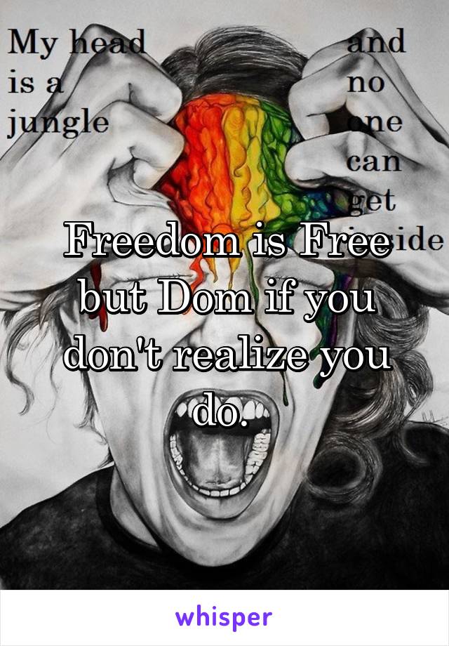 Freedom is Free but Dom if you don't realize you do. 