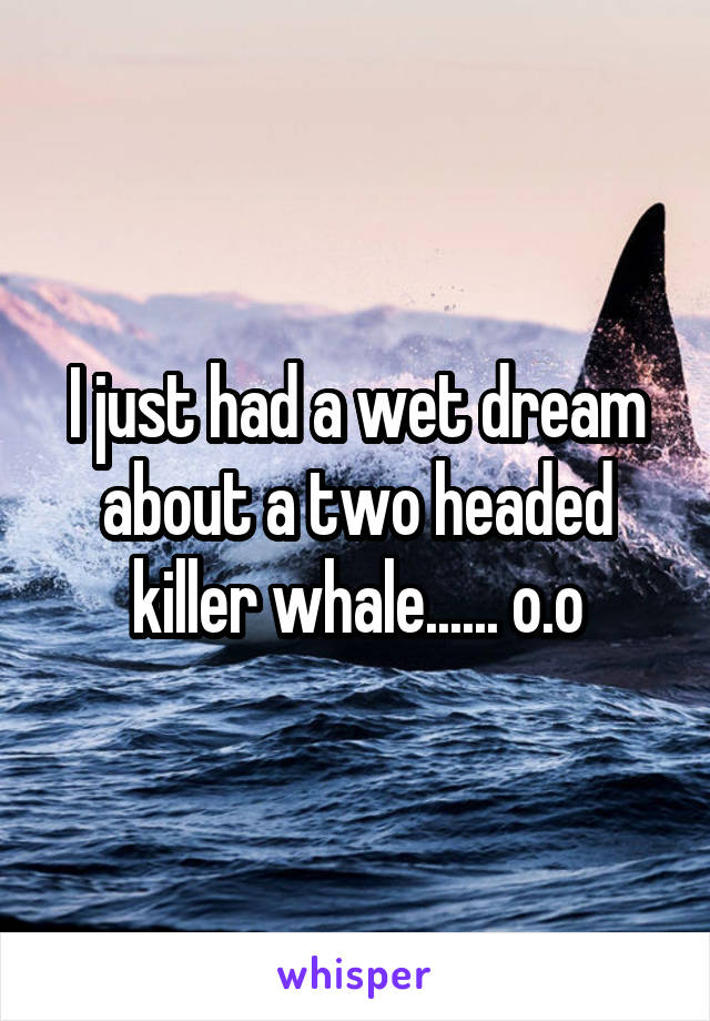 I just had a wet dream about a two headed killer whale...... o.o