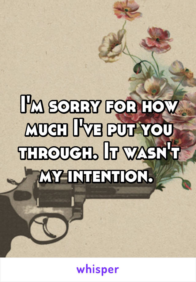 I'm sorry for how much I've put you through. It wasn't my intention. 