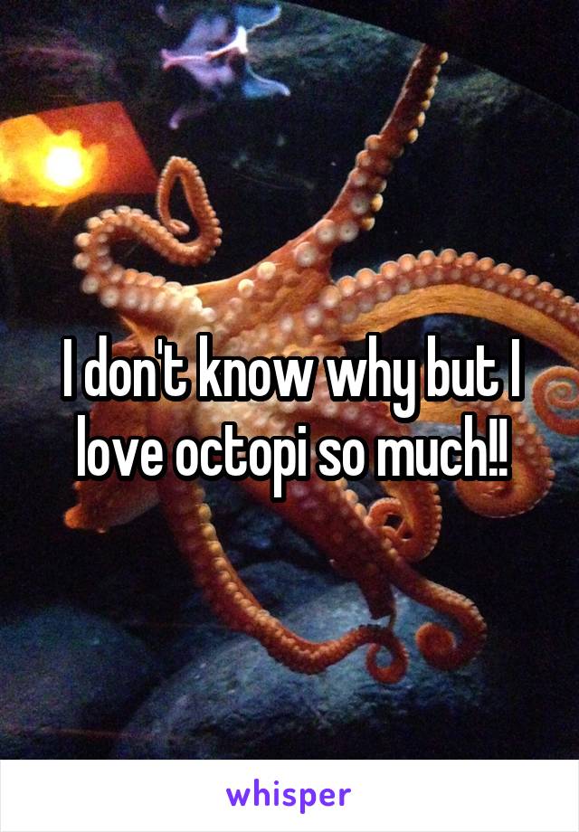 I don't know why but I love octopi so much!!