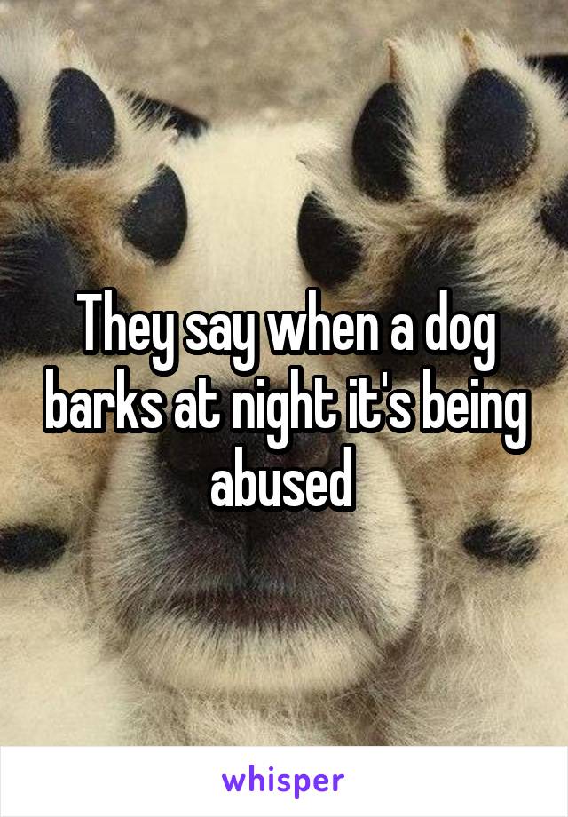 They say when a dog barks at night it's being abused 