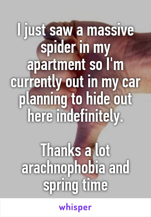 I just saw a massive spider in my apartment so I'm currently out in my car planning to hide out here indefinitely.
 
Thanks a lot arachnophobia and spring time