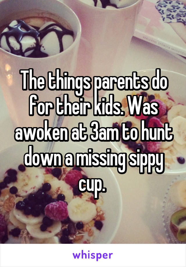 The things parents do for their kids. Was awoken at 3am to hunt down a missing sippy cup. 