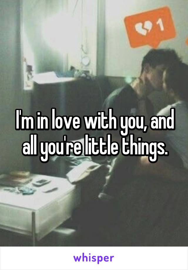 I'm in love with you, and all you're little things.