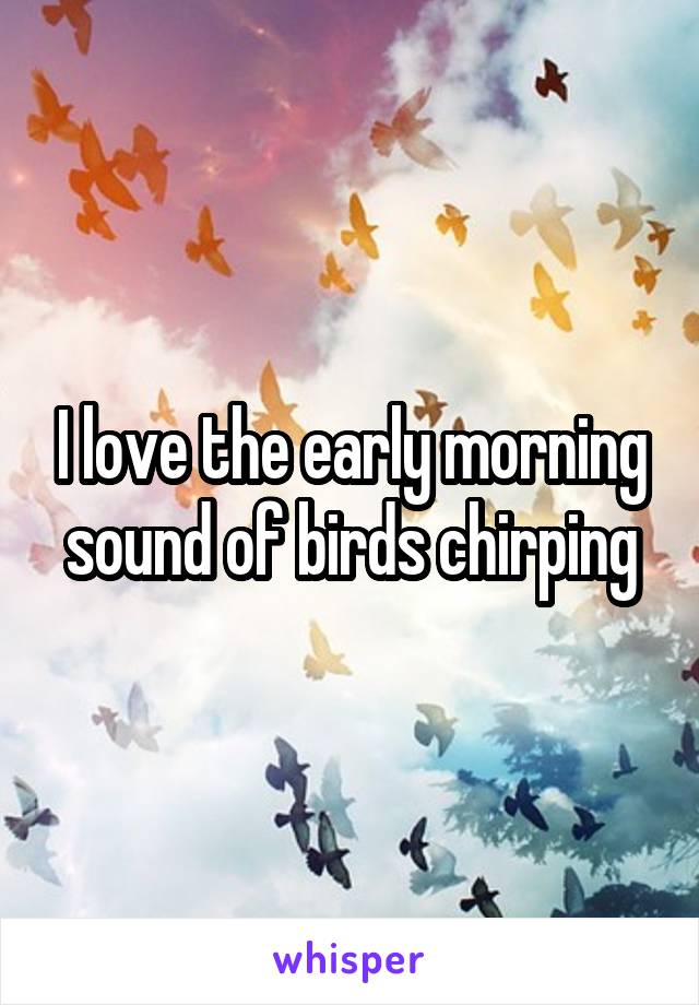 I love the early morning sound of birds chirping